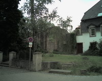 Klosterruine Bild 1