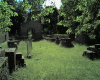 Klosterruine Bild 7